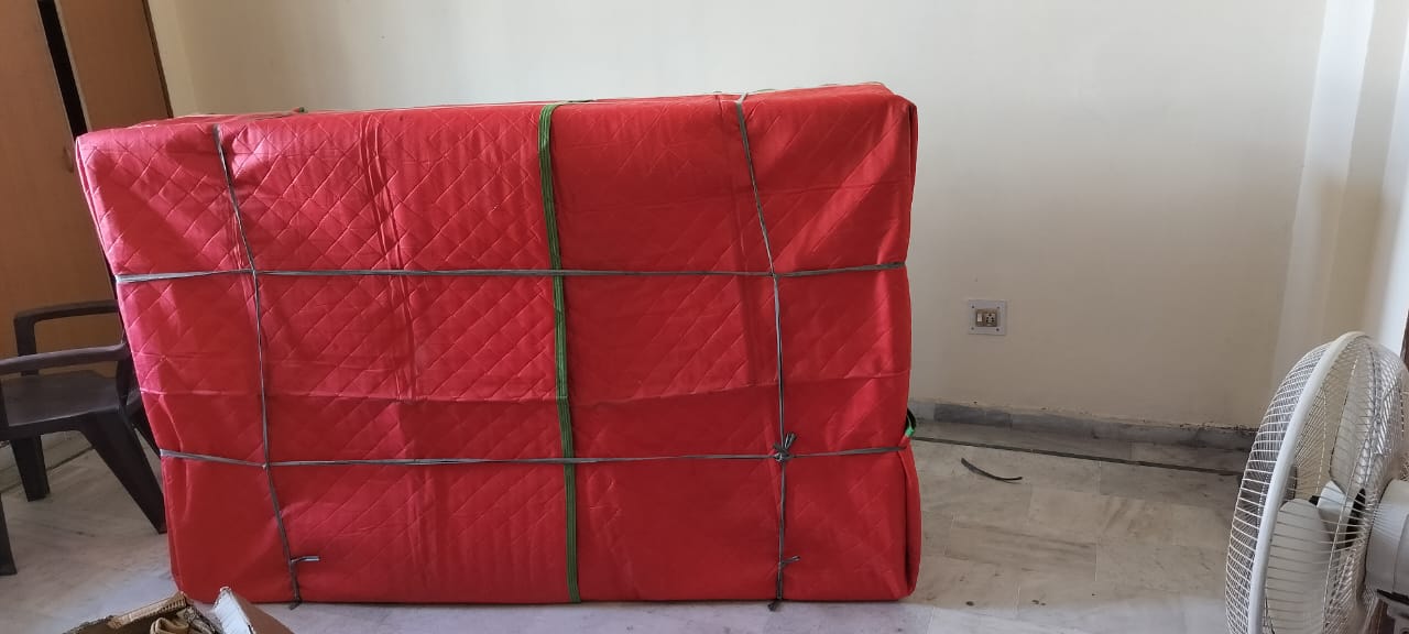 WhatsApp Image 2024-11-04 at 7.44.54 PM