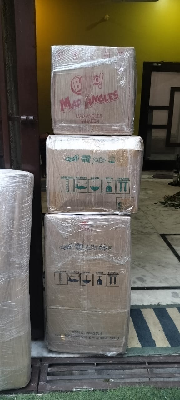 WhatsApp Image 2024-11-14 at 2.04.51 PM